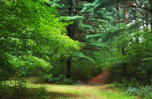 通辽市森林公安局