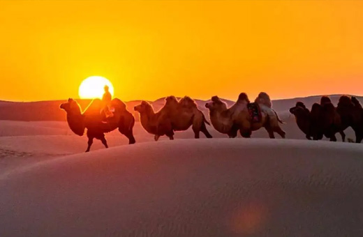 内蒙古青龙山农副商城