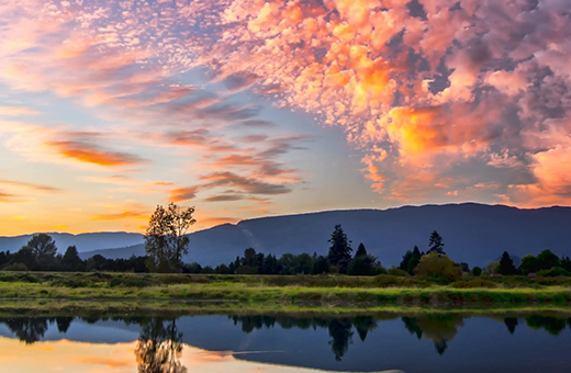 中文字幕按摩做爰